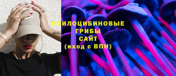 МДПВ Аркадак