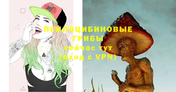 молекула духа Армянск