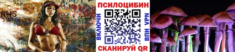 Галлюциногенные грибы Cubensis  Чудово 